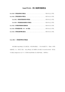 SonicWALL配置基础手册专业资料