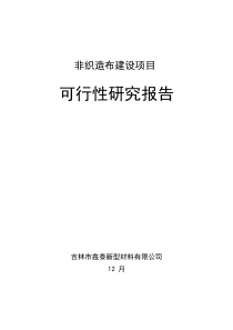 非织造布可行性研究应用报告