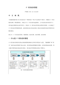 IT综合项目成本管理