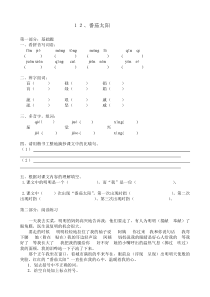 12、番茄太阳