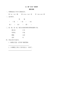 16骑“白马”的苍耳