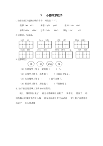 3  小猫咪穿鞋子