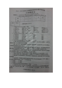 禹州市八年级语文上学期期末试题及答案