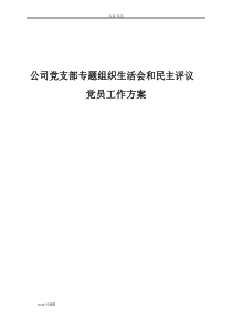 公司党支部专题组织生活会和民主评议党员工作实施方案