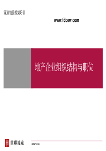 世联地产置地企业组织结构与职位建议终稿