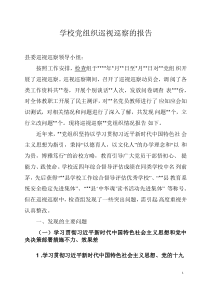 学校党组织巡视巡察的报告