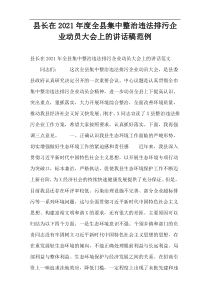 县长在2021年度全县集中整治违法排污企业动员大会上的讲话稿范例