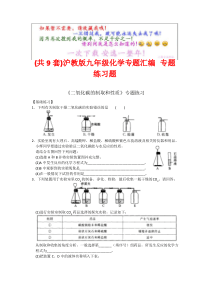 (共9套)沪教版九年级化学专题汇编 专题练习题