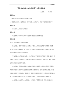 预防青少年违法犯罪班会教案