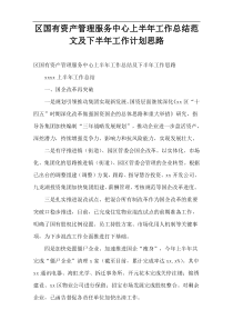 区国有资产管理服务中心上半年工作总结范文及下半年工作计划思路