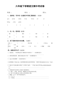 六年级语文下学期期中试题