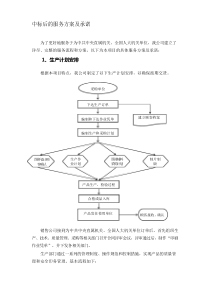 中标后的服务方案及承诺 (2)