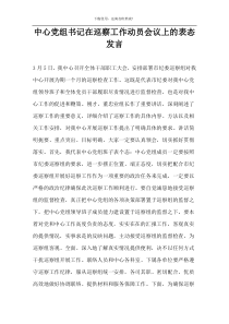 中心党组书记在巡察工作动员会议上的表态发言