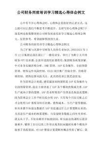 公司财务岗前培训学习精选心得体会例文