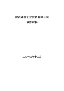 创业投资公司材料