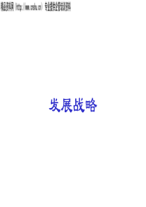 创业智源战略（PPT26页）