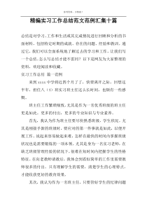 精编实习工作总结范文范例汇集十篇