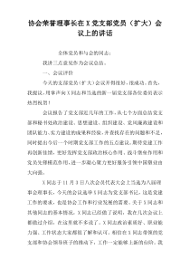 协会荣誉理事长在X党支部党员（扩大）会议上的讲话