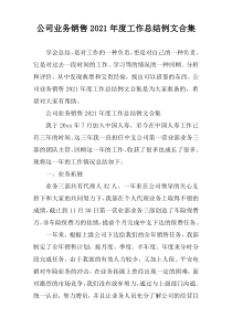 公司业务销售2021年度工作总结例文合集