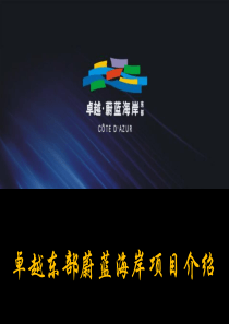 卓越东部蔚蓝海岸二期别墅,最新优惠,卓越报道,见内文