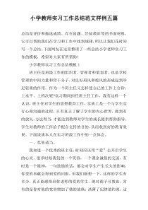 小学教师实习工作总结范文样例五篇