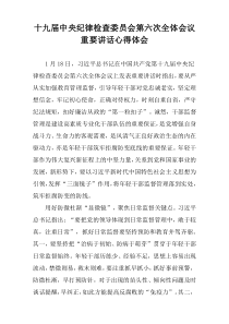 十九届中央纪律检查委员会第六次全体会议重要讲话心得体会