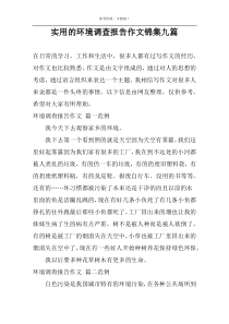 通用的环境调查报告作文锦集九篇