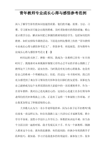 青年教师专业成长心得与感悟参考范例