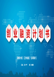 创业融资计划书（PPT39页)