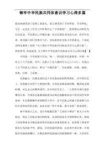 铸牢中华民族共同体意识学习心得[多篇]