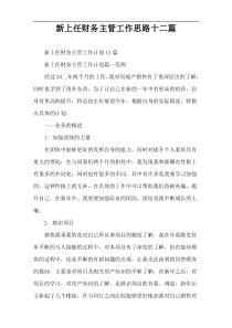 新上任财务主管工作思路十二篇