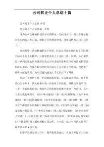 公司转正个人总结十篇