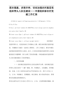 固本强基，多措并举，切实加强农村基层党组织带头人队伍建设——市委组织部农村党建工作汇报