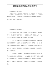 树师德师风学习心得体会范文