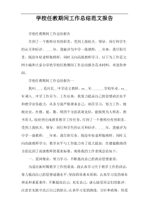 学校任教期间工作总结范文报告