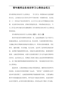 青年教师业务培训学习心得体会范文