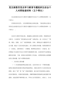 党支部委员党史学习教育专题组织生活会个人对照检查材料（五个带头）