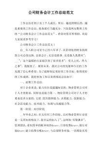 公司财务会计工作总结范文