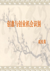 创意与创业机会识别1-1