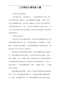 三月两会心得总结4篇