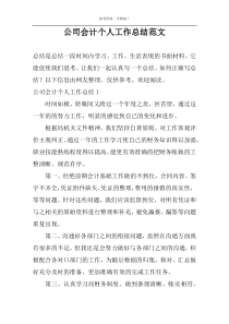 公司会计个人工作总结范文