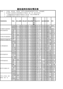 副处级岗位报名情况表