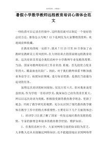 暑假小学数学教师远程教育培训心得体会范文