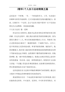 (精华)个人实习总结锦集五篇