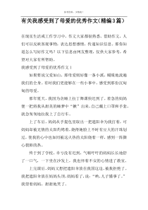 有关我感受到了母爱的优秀作文（精编3篇）