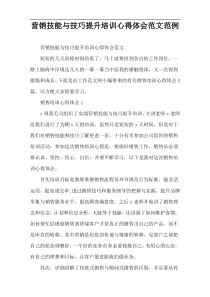 营销技能与技巧提升培训心得体会范文范例