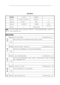 北大纵横-新丰化纤工艺主管岗位职务说明书