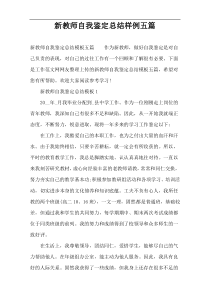 新教师自我鉴定总结样例五篇