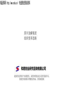 和君创业-四川龙蟒-集团公司组织变革思路