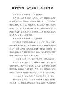 [精挑细选]企业员工试用期转正工作小结集锦